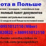 Работа в Польше. Документы.