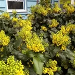 Здам приміщення в оренду