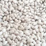 Пропонуємо квасолю від виробника