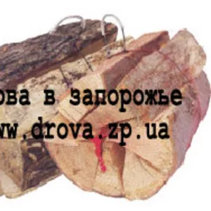 Продам дрова каминные (акация,  дубовые) в вязанках в Запорожье