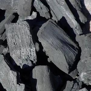 Древесный уголь в Запорожье. Доставка