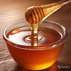 Куплю мёд и продукты пчеловодства
