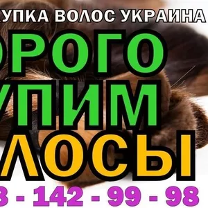 Дорого продать волосы в Запорожье , купим волосы дорого постоянно у Вас