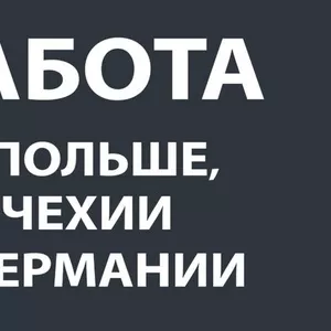 Легальная работа в Чехии