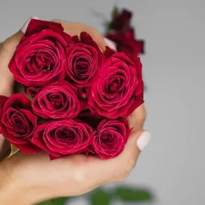 25 чарівних троянд - ідеальний квітковий презент!