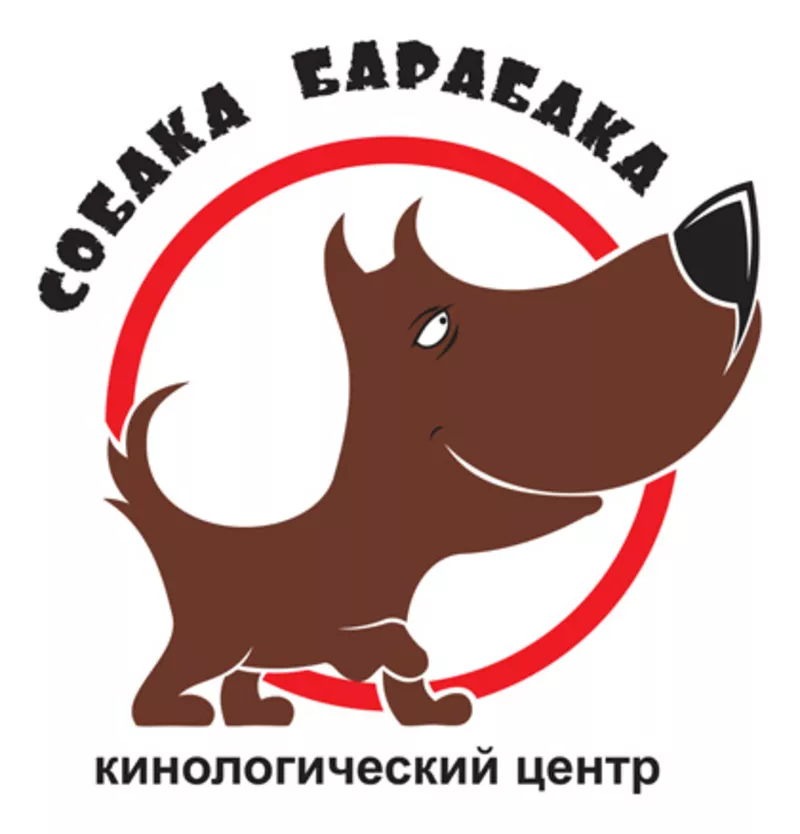 Дрессировка, натаска собак охотничьих пород!!!