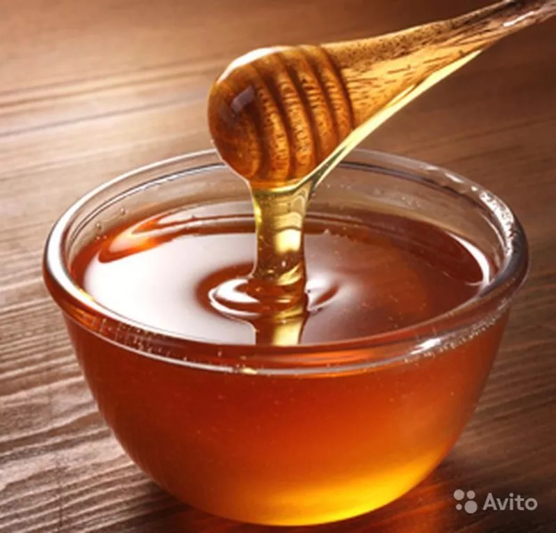 Куплю мёд и продукты пчеловодства