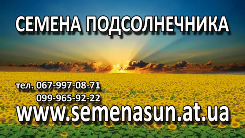 Семена подсолнечника, кукурузы Syngenta Monsanto Pioneer LG 