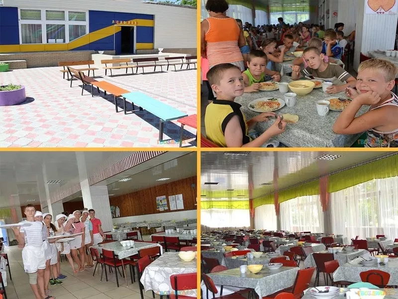 Детский лагерь Гвоздика начинает продажу путевок на сезон 2017 года 5