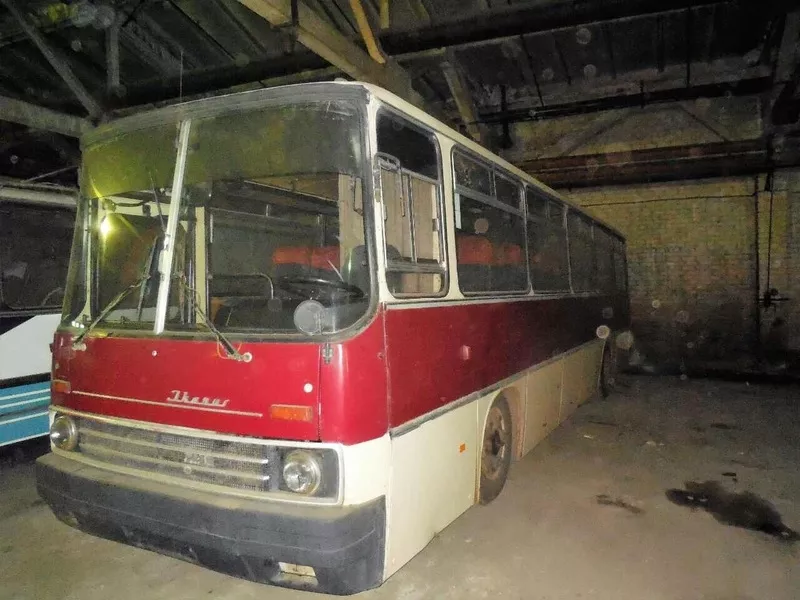 Продам автобус Икарус-256 4