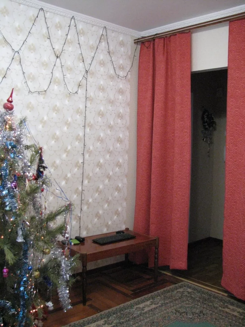 Продам 1 комнатную квартиру на Бабурке в Запорожье 9