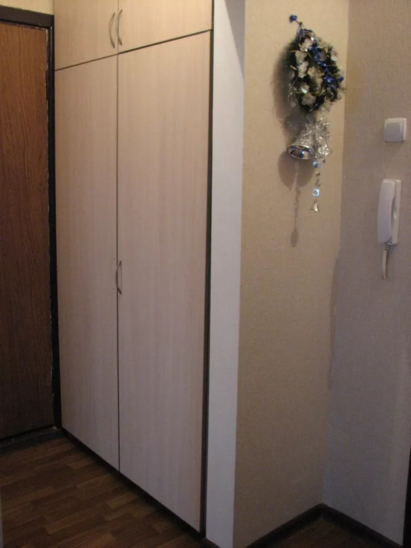 Продам 1 комнатную квартиру на Бабурке в Запорожье 8