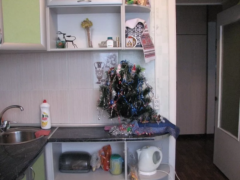 Продам 1 комнатную квартиру на Бабурке в Запорожье 5