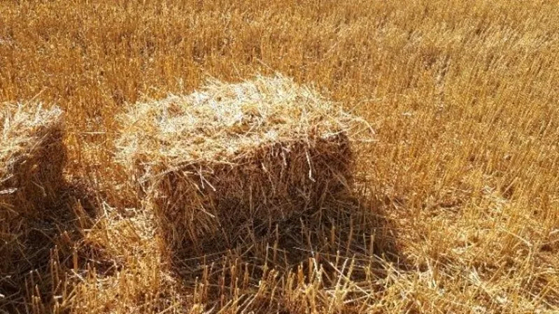 Доставка  пшеничной Соломы в тюках по Запорожью. 2